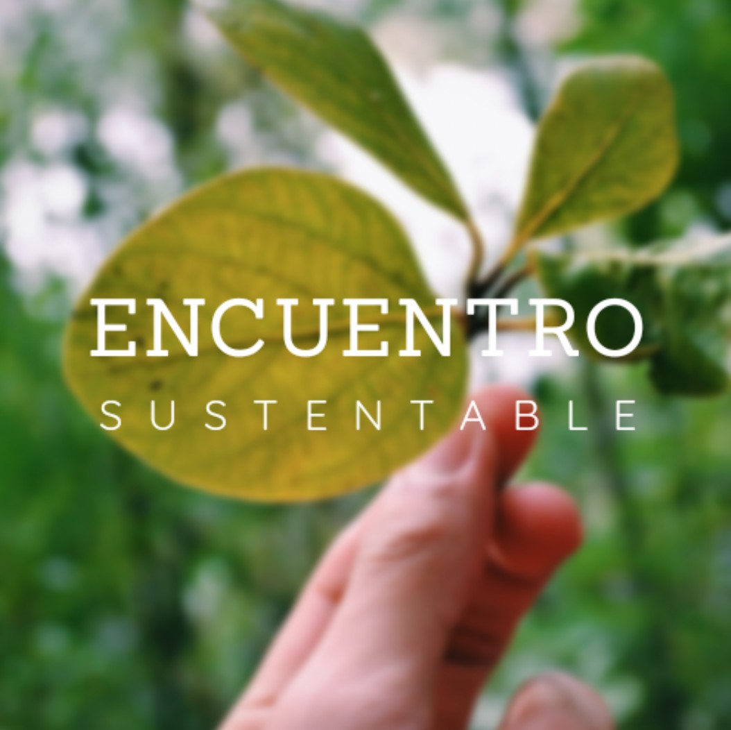 Podcast “Encuentro sustentable” - Temporada completa