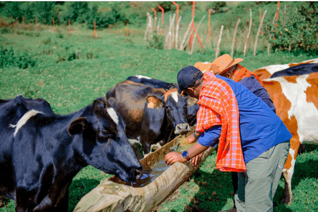 la inclusión de prebióticos mejora la microbiota intestinal, fortalece el sistema inmunitario y optimiza la conversión alimenticia.