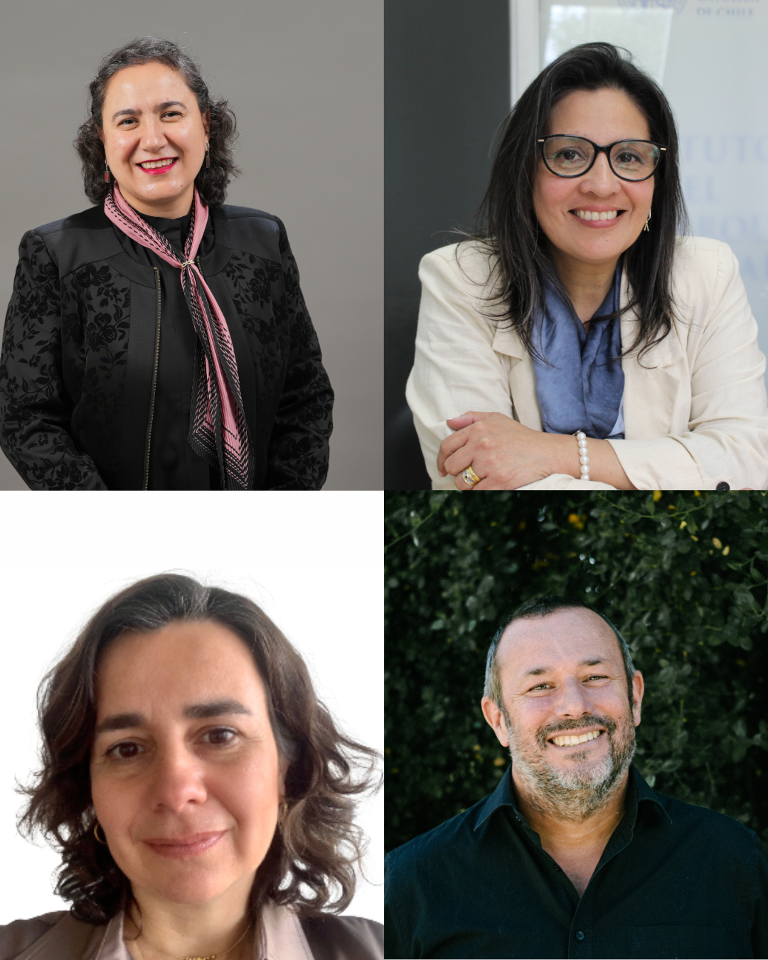 Cuatro académicos del IDS se adjudican proyectos Avanza UC