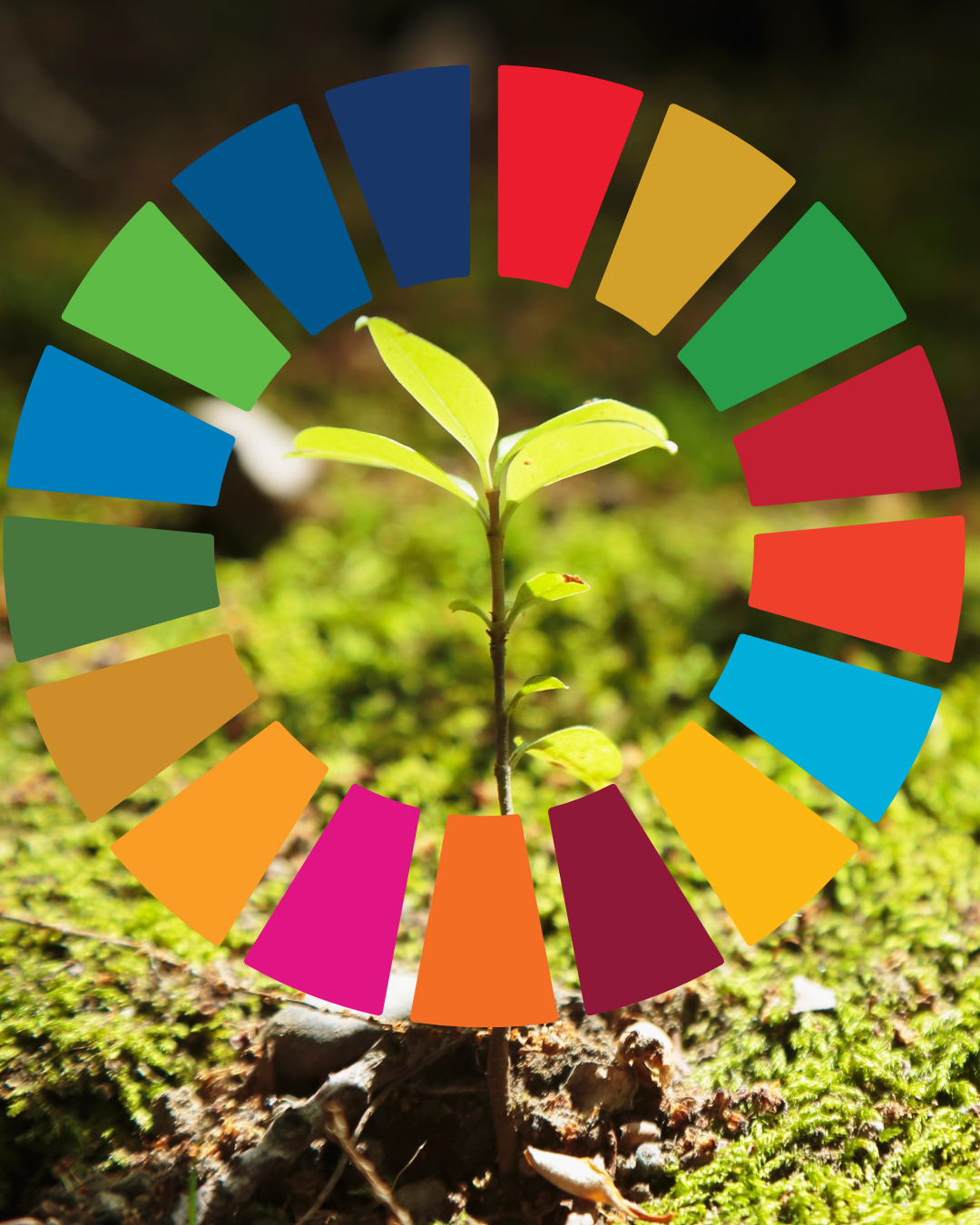 SDSN Chile publica informe “ODS+10: Chile frente a la Agenda 2030”