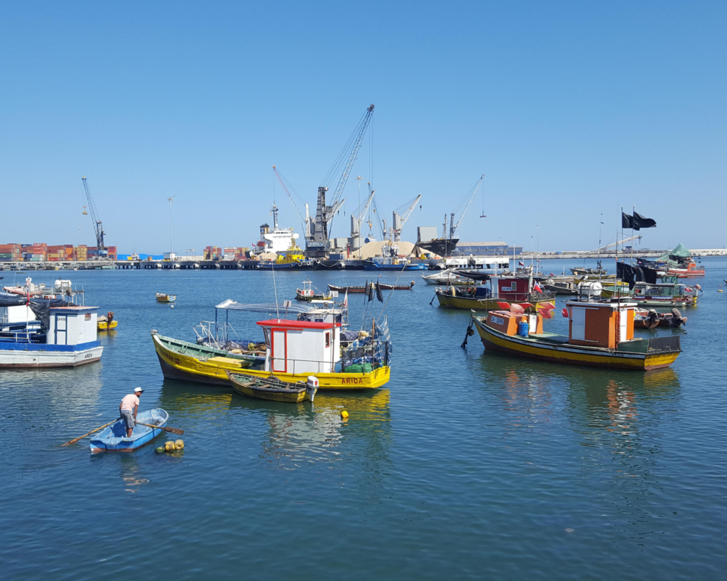 Daniel Carrasco, postdoctorante IDS Geografía UC