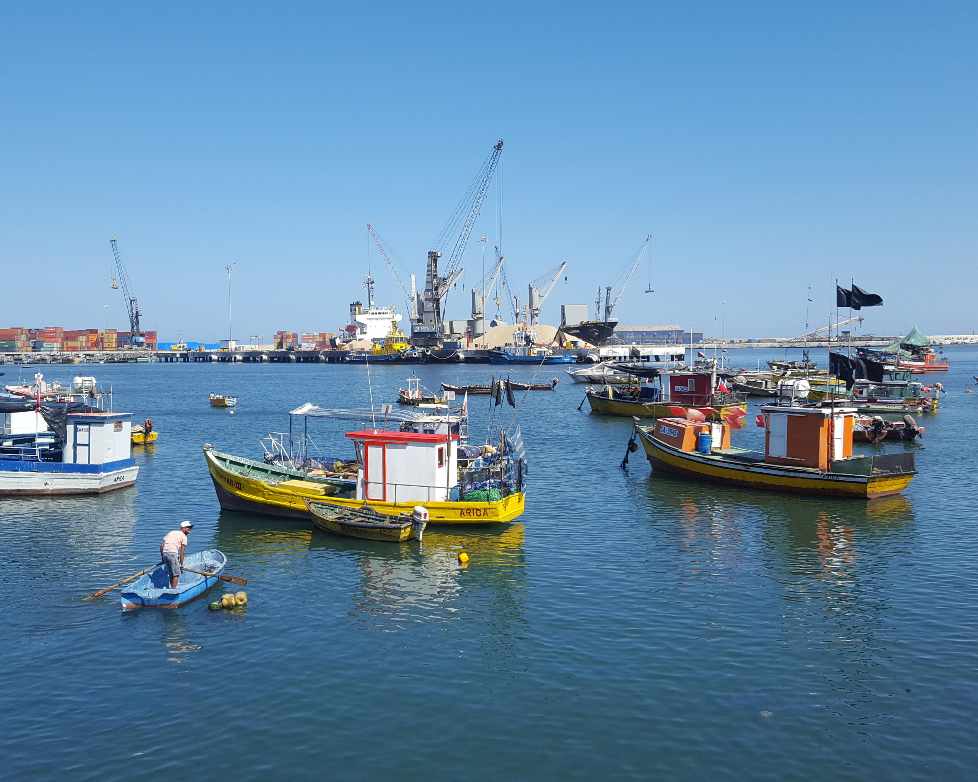 Innovador proyecto Fondecyt Postdoctorado sobre territorios costeros en Chiloé es patrocinado por académico IDS Jonathan Barton